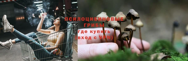 a pvp Аркадак