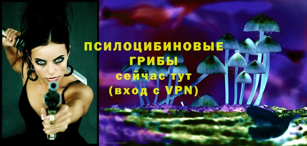 a pvp Аркадак